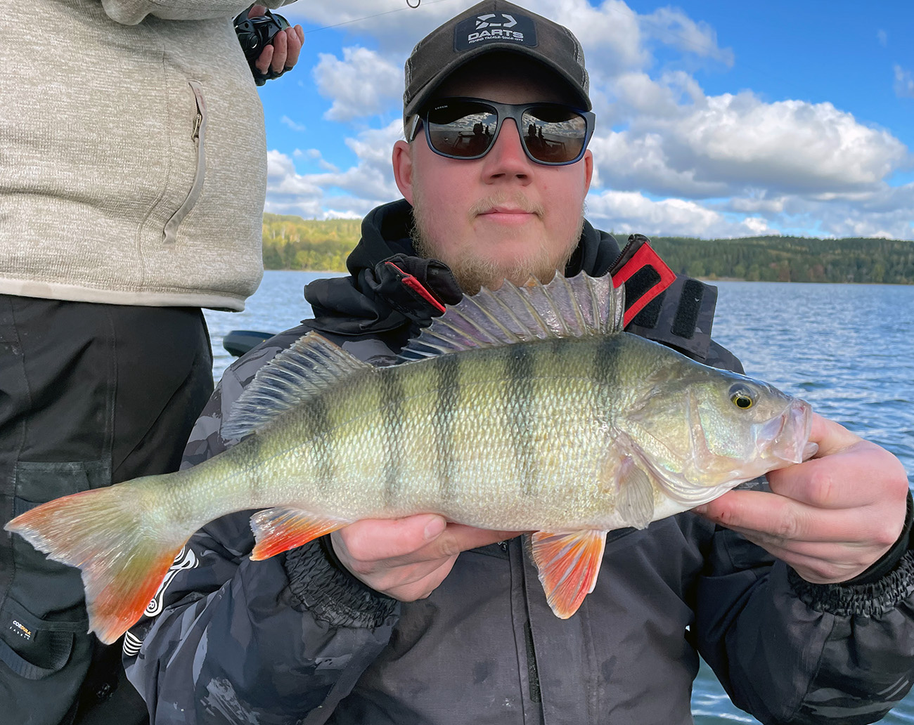 Molix RT Shad 3.5' (9cm)